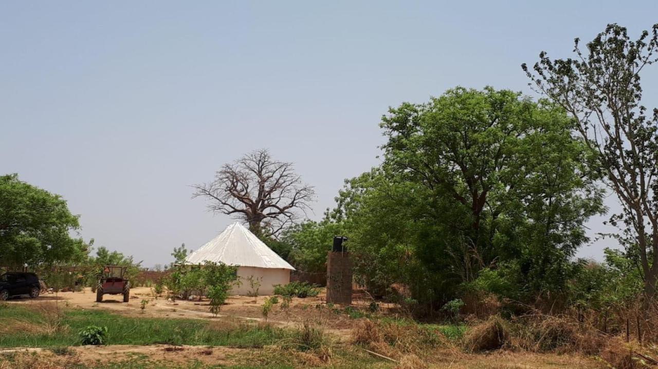 Camping Sitaba Lodge Georgetown Extérieur photo